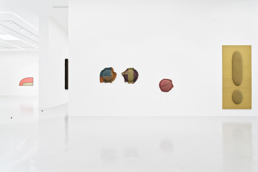 Vue de l'exposition Nicolas Momein