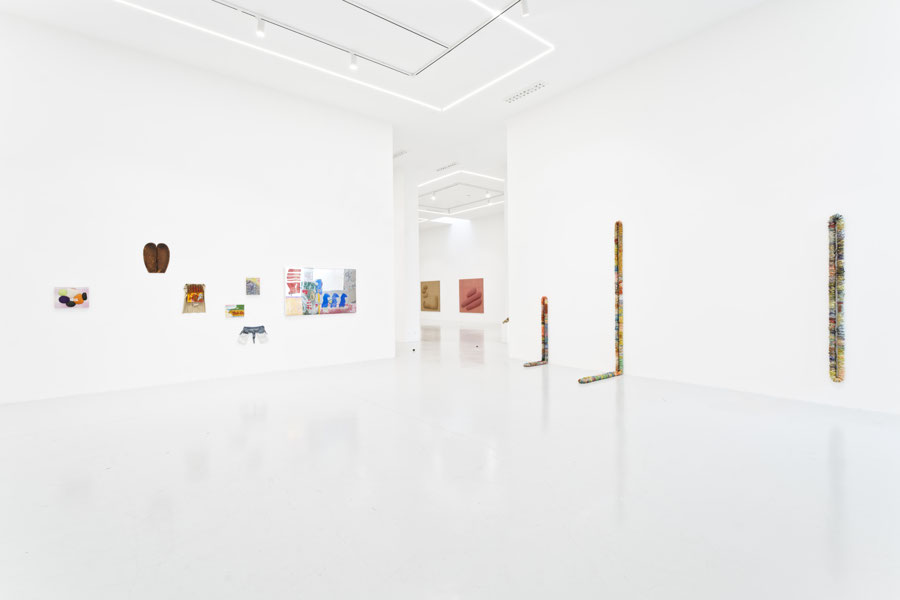 Vue de l'exposition Nicolas Momein