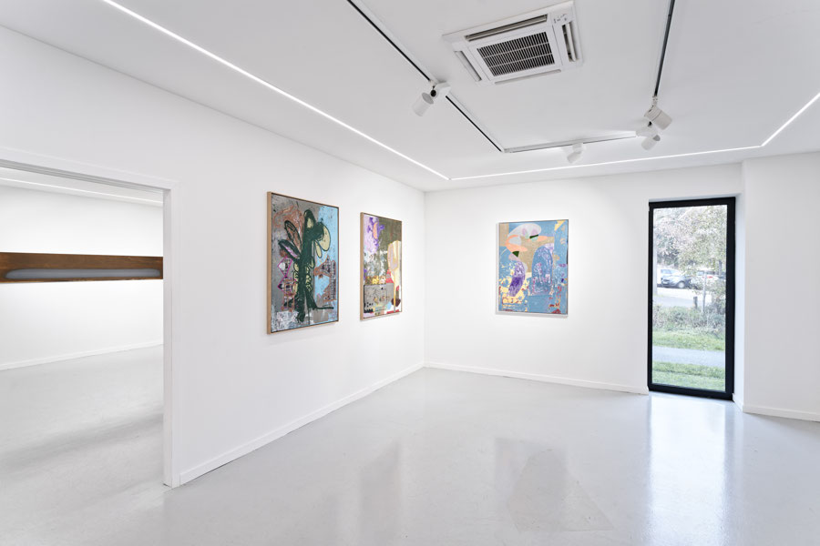 Vue de l'exposition Nicolas Momein