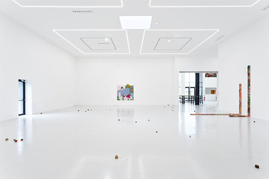 Vue de l'exposition Nicolas Momein