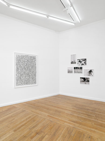 Vue d'exposition : Tania Mouraud, En rêvant d'être un papillon