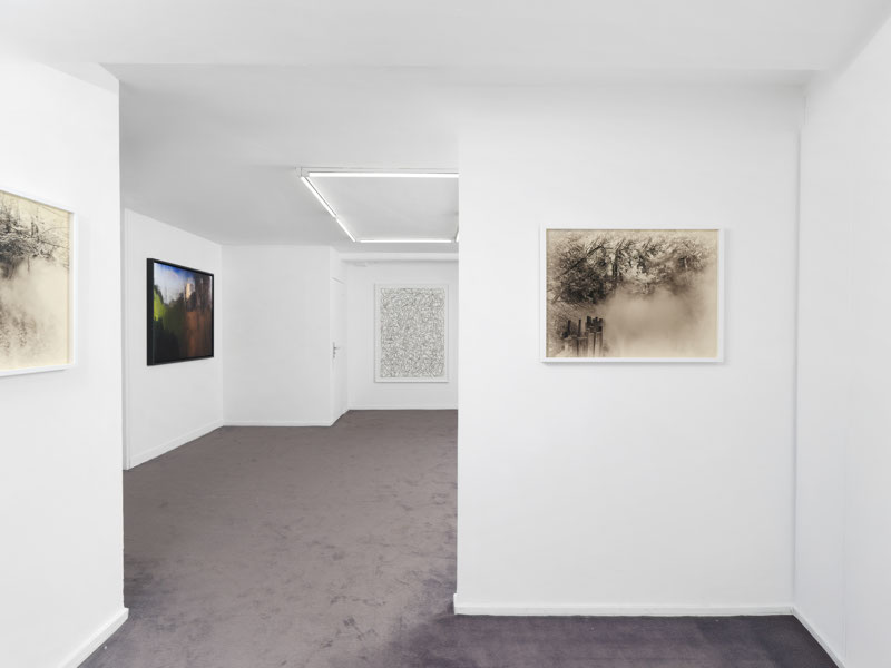 Vue d'exposition : Tania Mouraud, En rêvant d'être un papillon