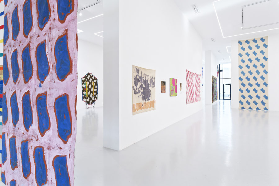 Vue d'exposition - Claude Viallat - sa Forme a soixante ans