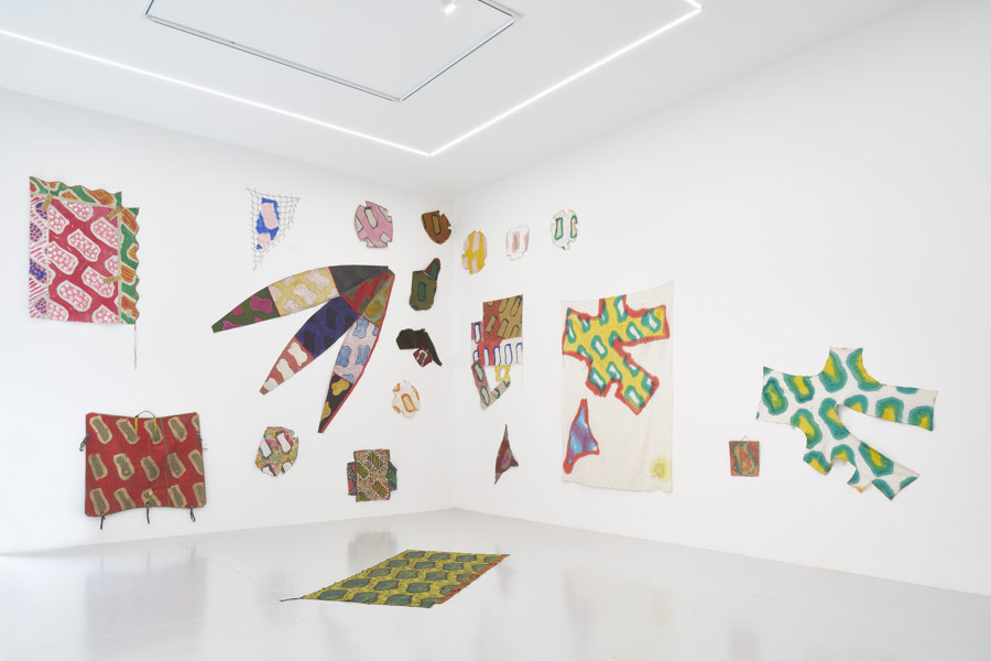 Vue d'exposition - Claude Viallat - sa Forme a soixante ans