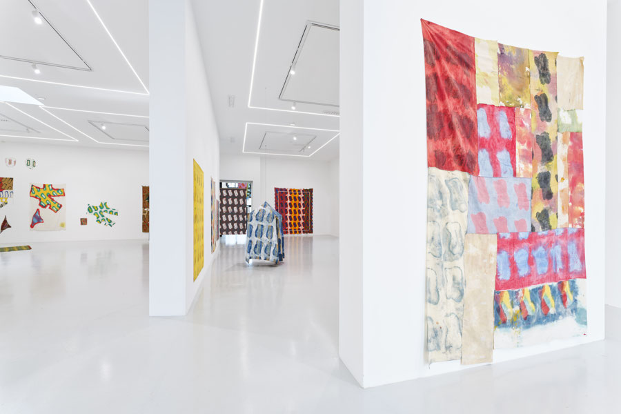 Vue d'exposition - Claude Viallat - sa Forme a soixante ans