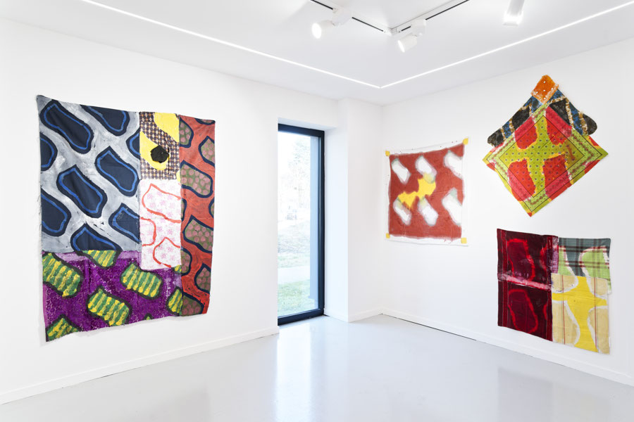 Vue d'exposition - Claude Viallat - sa Forme a soixante ans