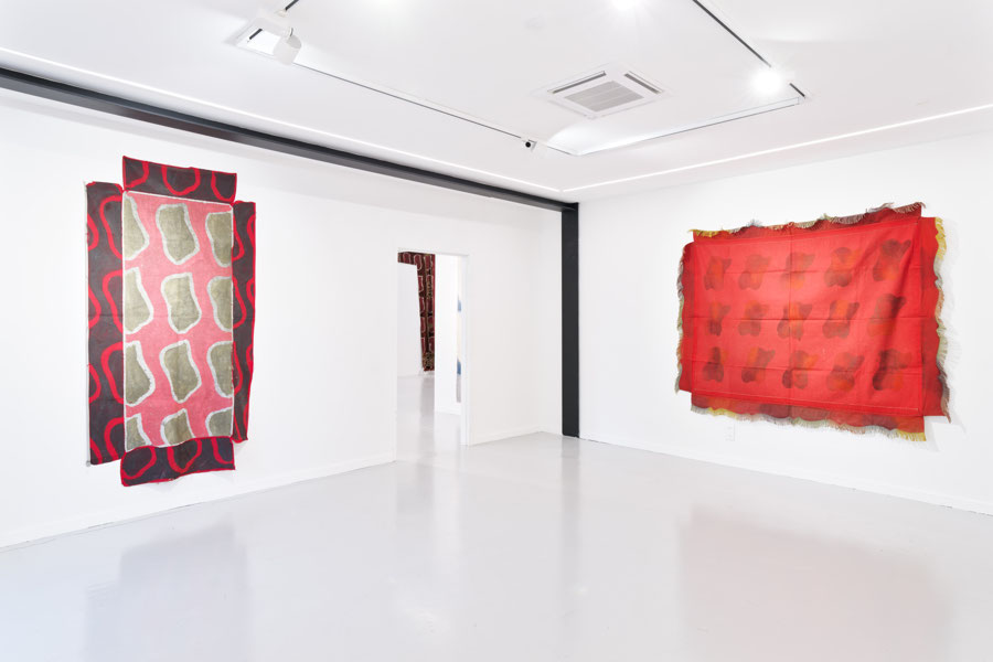 Vue d'exposition - Claude Viallat - sa Forme a soixante ans