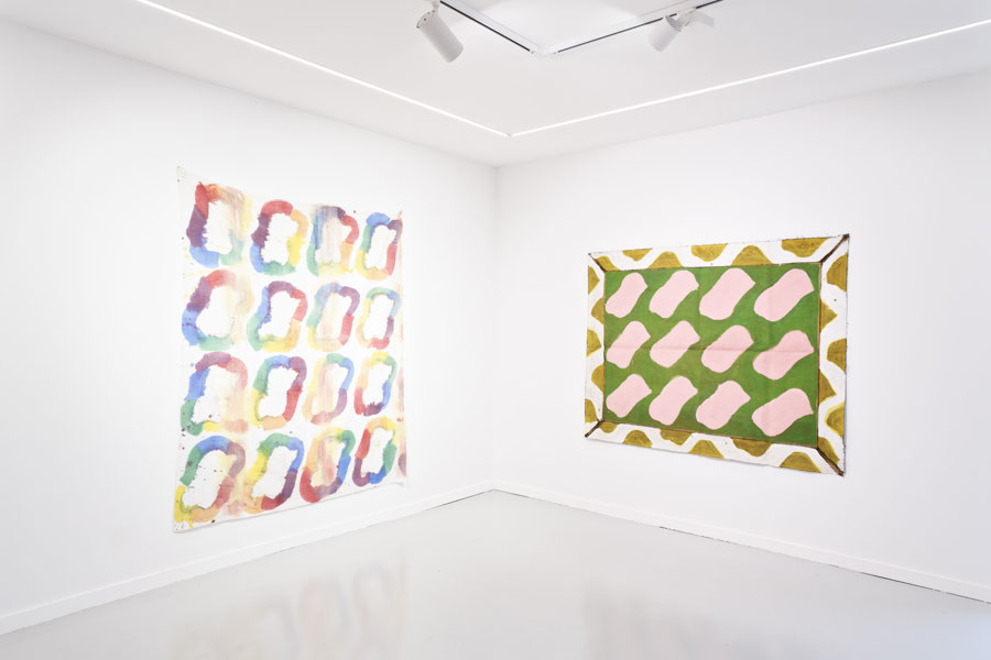 Vue d'exposition - Claude Viallat - sa Forme a soixante ans