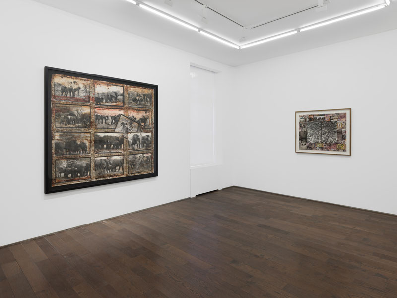 Peter Beard: The Scheme of Things - Installation View A