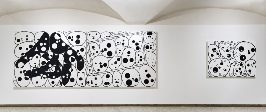 Where Have All the Noses Gone, cellar view