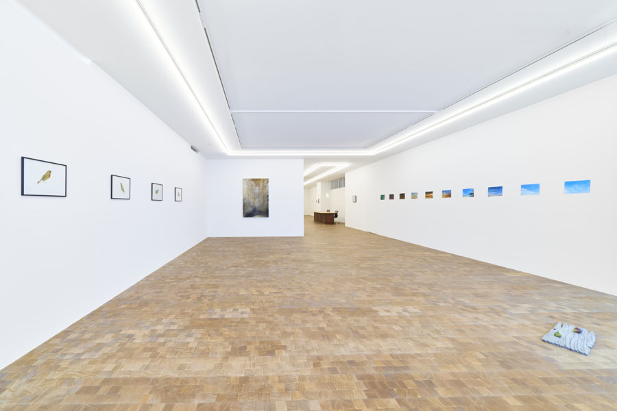 T05-Exhibition view-Spring Show-2026©Sakamoto-Osamu-C&B11