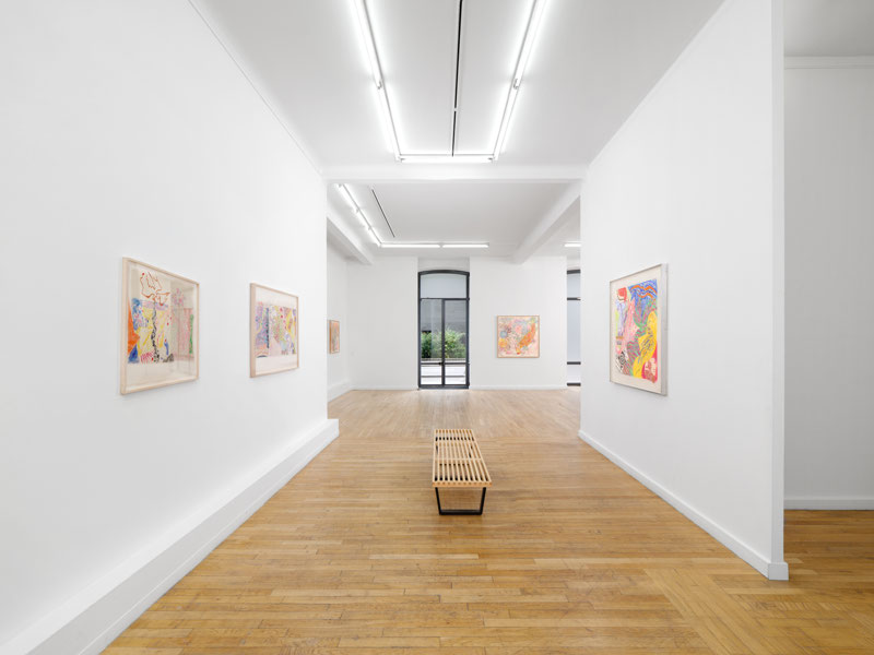 Vue d'expo Nancy Graves