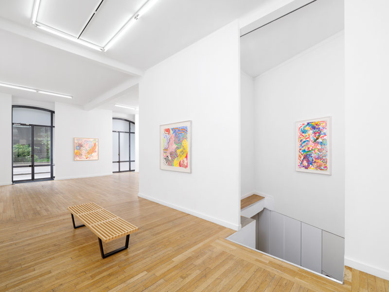 Vue d'expo Nancy Graves