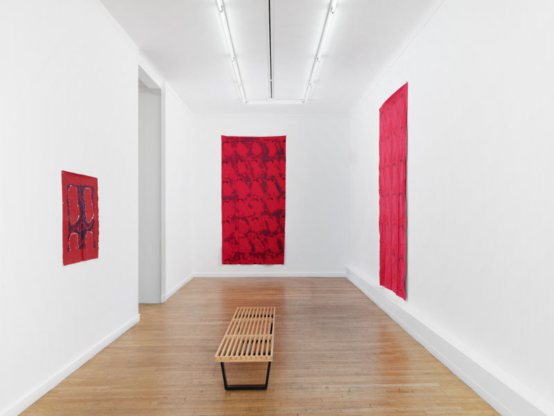 Exhibition view: selection of canvases by Claude Viallat