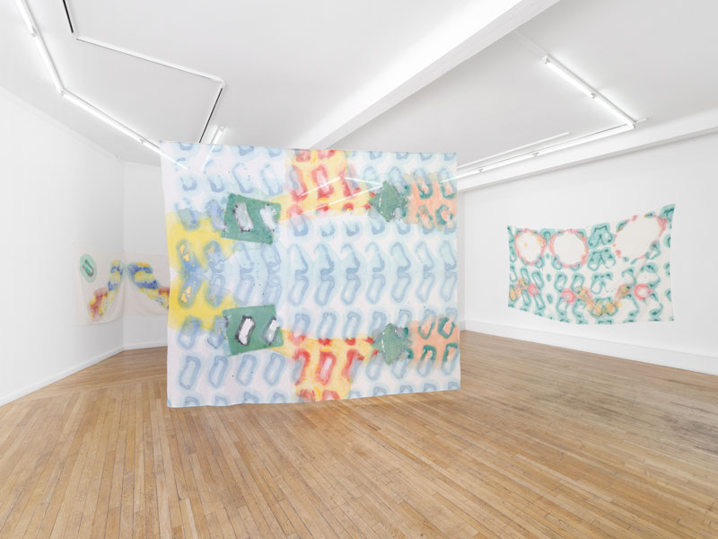 View of Claude Viallat's exhibition in Paris