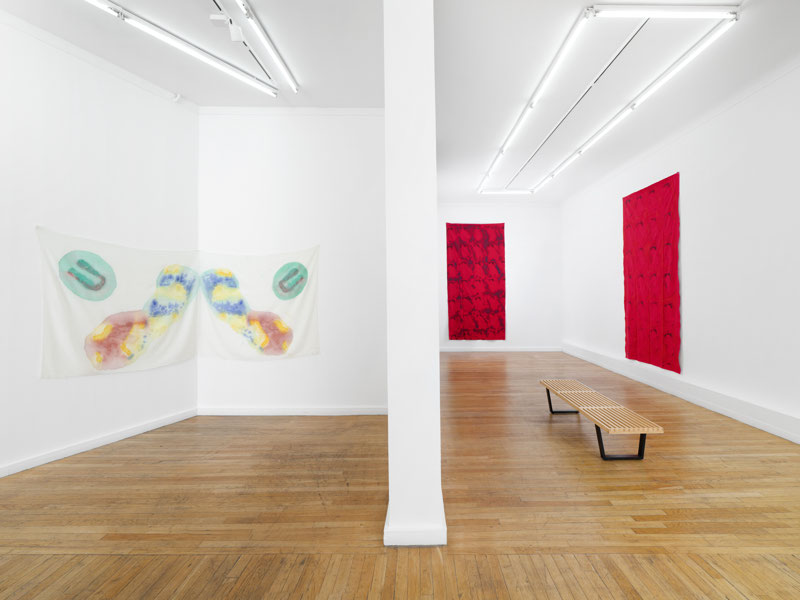 Visual selection of works by Claude Viallat