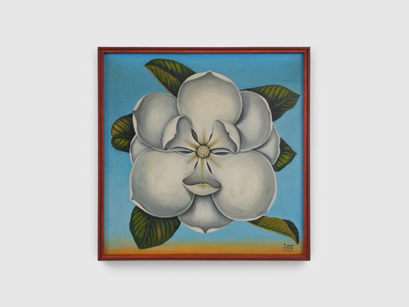 Magnolia