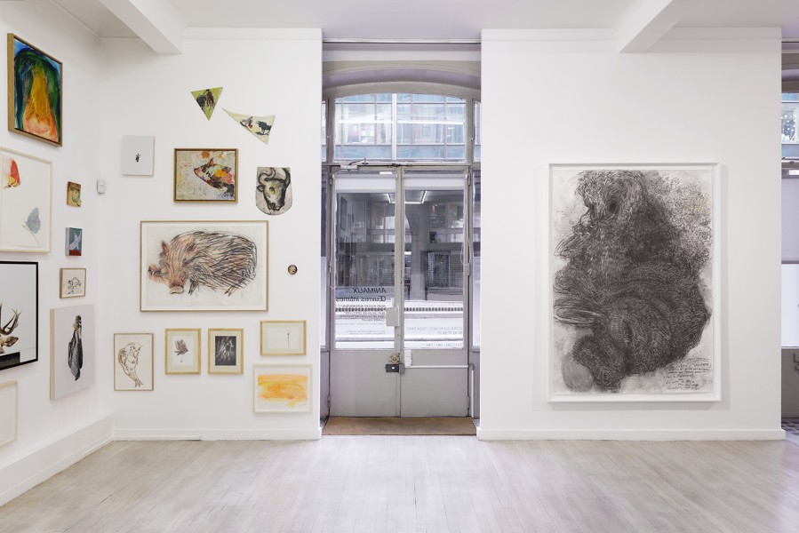 3_Animaux 2016 StEtienne 1038