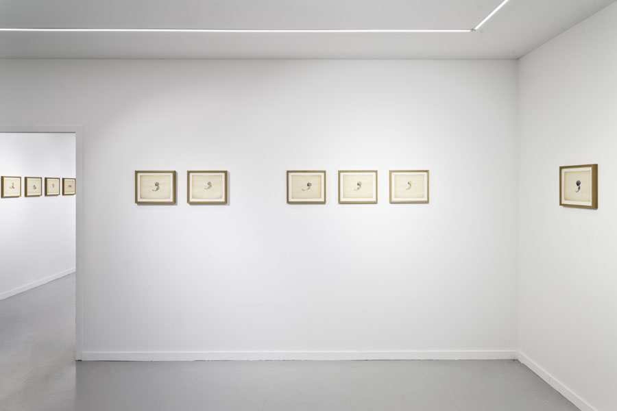 Philippe Favier 2025