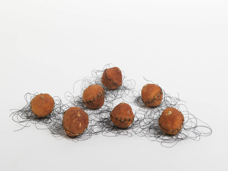 Patrick-Condouret-2013-StEtienne-149