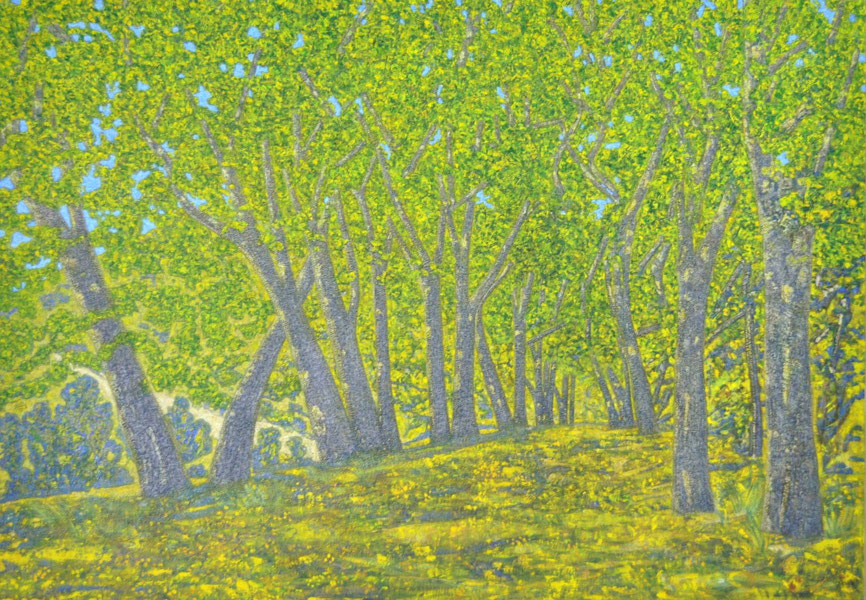 Vincent-Bioules-2010-paris-57