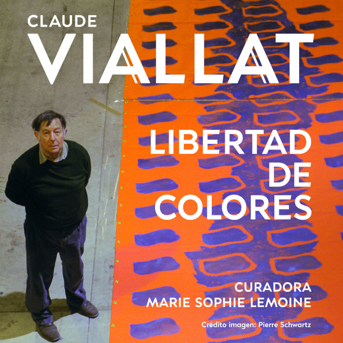 Libertad de Colores