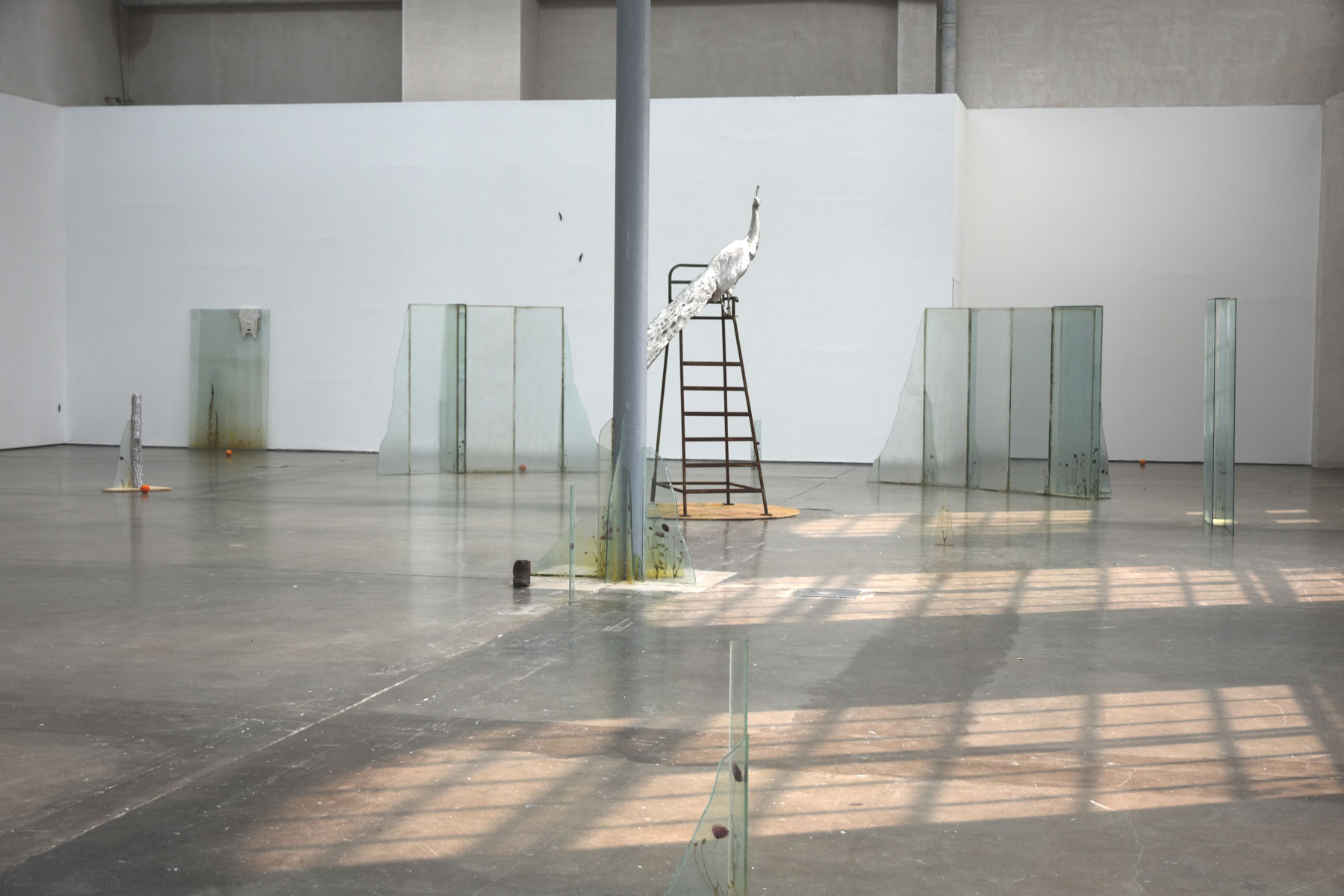 Wilfrid Almendra - Where the Sun Pauses